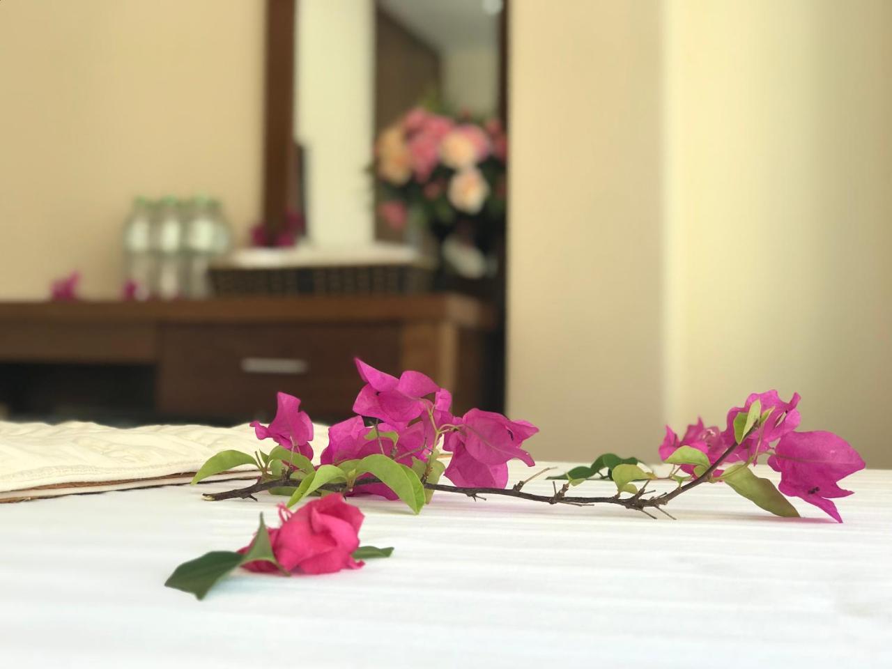 Ha Vy Hotel Cat Ba Island Dış mekan fotoğraf