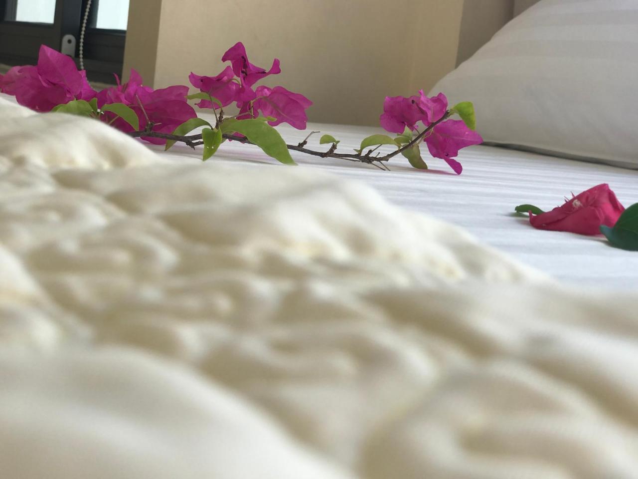 Ha Vy Hotel Cat Ba Island Dış mekan fotoğraf