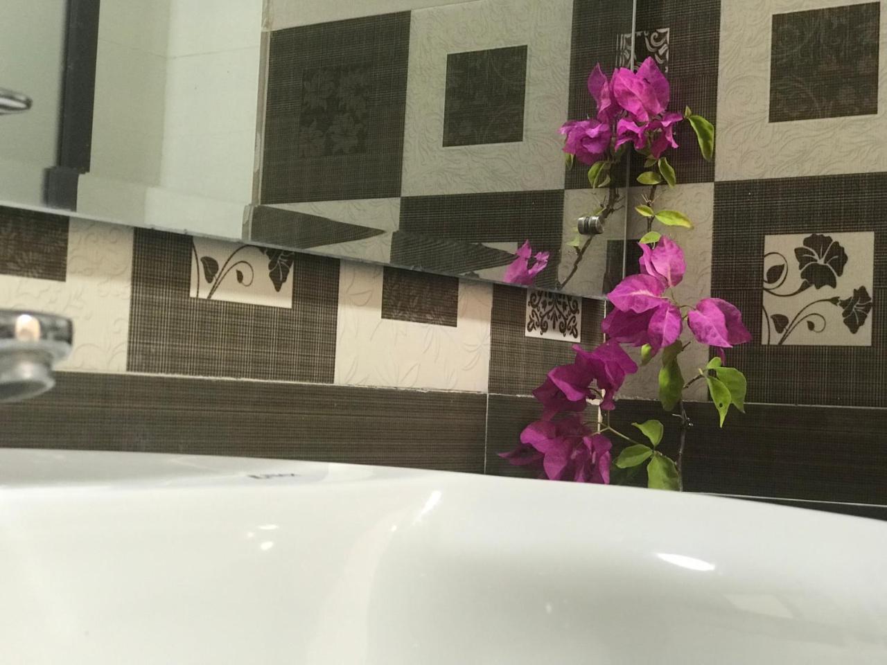 Ha Vy Hotel Cat Ba Island Dış mekan fotoğraf